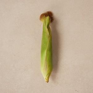 초당옥수수(개)