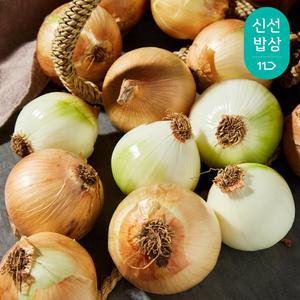 [품질보장] 무안 햇 양파 5kg 대/중 혼합구성