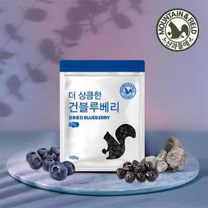 [산과들에] 건블루베리 100gx2봉