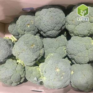 국내산 브로콜리 특 8kg