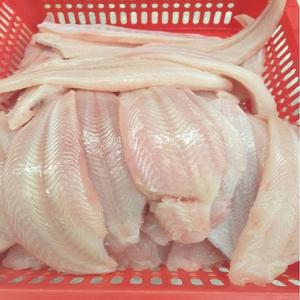 고흥 나로도 서대회 450g+450g