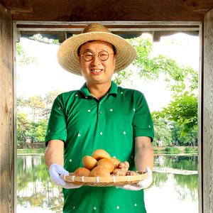 우리밀 저당 식이섬유 밀기울 100프로 통밀빵 50gX6개 귀리 비지 돼지감자 밀기울 호밀빵 스테비아 만능 소스