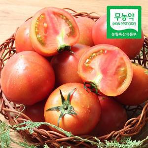 [푸르젠]전남 장흥 이도영님의 무농약 완숙토마토 3kg(3~4번)