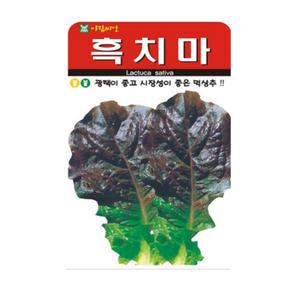 흑치마 상추 씨앗 씨 텃밭 잎 채소 종자