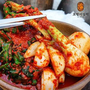 [호랑이김치]국산 전라도 극조생 양파줄기김치 1kg