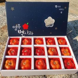18브릭스 프로포즈 선물용 영주 별사과 9과 850g