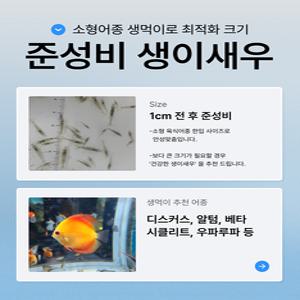 준성비 생이새우 100마리+알꽉찬 포란암+초보수초 1촉 어항꾸미기 관상용새우
