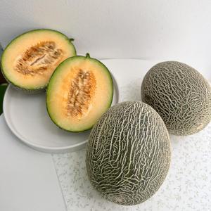 산지직송 고당도 그린 하미과 메론 2kg 3-4과 멜론 매론
