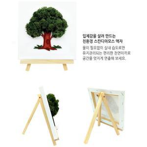 돌봄DIY키트 과학놀이 스칸디아모스 액자 만들기(탄소중립) 가벼운 가성비