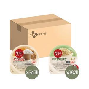 햇반 윤기가득 쌀밥 210g x36개+발아현미밥 210g x18개