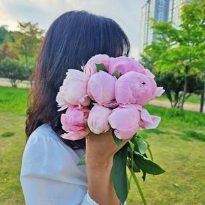 [꽃같은하루] 작약꽃 사라작약 10송이 생화 작약 꽃다발 택배 꽃배달 싼곳