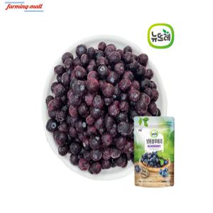 [보금푸드] 뉴뜨레 냉동 블루베리 칠레 1kg 1개