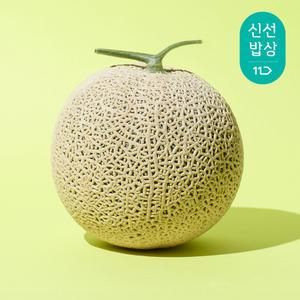 [달콤트리] 프리미엄 머스크멜론1.8KG*2입 총3.6kg