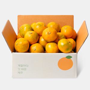 [내일도착] 깨비농원 제주 고당도 햇 하우스감귤 1.5kg 소과(2S)