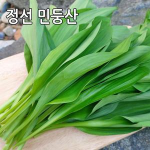 강원도 정선 민둥산 산마늘 명이나물 1kg 노지재배 산나물