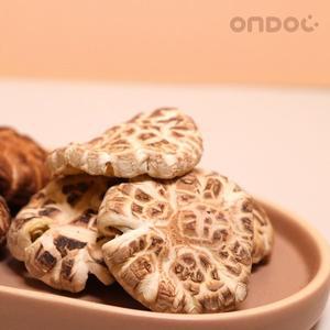 [온도씨]참나무 표고버섯 백화고 200g(중)