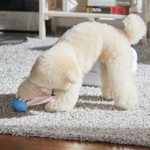 로이코 강아지 고양이 자동 급식기 혼자있는 강아지 장난감 분리불안 훈련 킁킁볼 자동 지급기 트릿토이