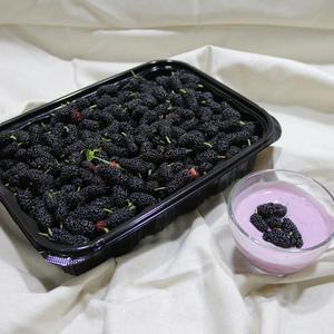 생과 오디 1kg 특품