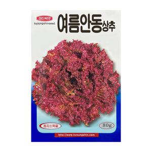 상추씨앗 여름안동상추 80g 여름철 대면적 재배 적합