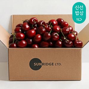 항공 미국/캐나다 프리미엄 생 체리 26mm 10-10.5row 총 1kg (500gX2팩)