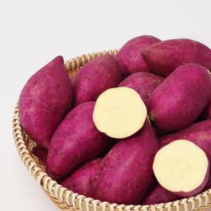 24년 첫 수확 햇 밤고구마 2kg (한입/50-100g)