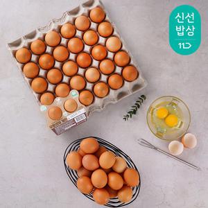 [품질보장] HACCP인증 신선란 특란 60구