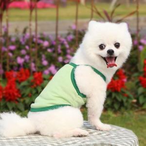 귀여운 아보카도 강아지 고양이 반려동물 애견옷 S (WFFTIKW)