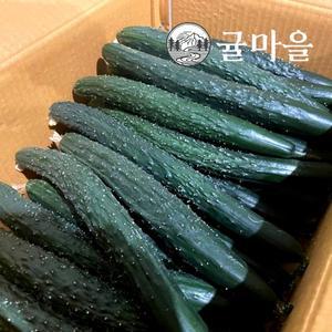 [귤마을] 가정용 가시오이 10kg