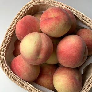 경북 김천 하우스 복숭아 1.5kg 9-10과