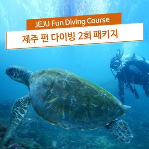 제주도 펀다이빙 섬비치 보트다이빙 2회 체험 해양레저 스킨스쿠버