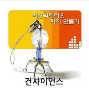 (GS)비즈박테리오파지열쇠고리만들기(10명1세트)