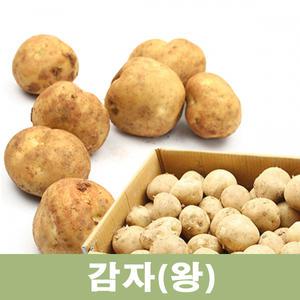 감자 20kg (왕)1박스 햇감자 두리반농산
