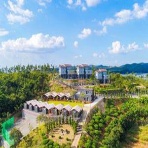 [충남 펜션] 보령(오천) 더반힐글램핑&리조트펜션 (보령,대천해수욕장)