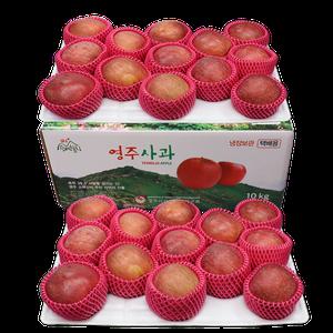 [김가네과일촌] 선물용 제수용 명절 정품 경북 꿀 햇 사과 부사 10kg