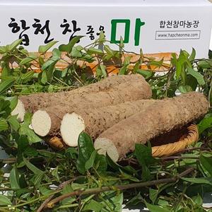합천 알뜰마 중(中) 5 kg