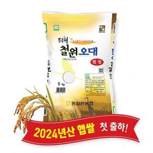 [강원마트](강원S)(당일도정) 2024년산 동철원농협 철원오대쌀 5kg, 햅쌀