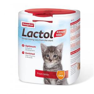 비아파 락톨키티 고양이 분유 대용량 250g