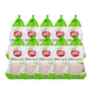올품 국내산 냉장 무항생제 육계 통닭 11호 X 10수 백숙용 생닭 업소용 대용량