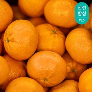 [산지발송] 향긋한 제주 하우스감귤 1.5kg/2kg/3kg