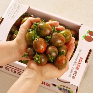 새콤달콤 과즙폭발! 부산 흑대추방울토마토 2kg(박스 포장)