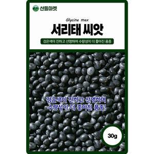 산들마켓 서리태 콩씨앗 30g 서리를 맞아가며 자라는 국내산 우수선별 콩씨 종자