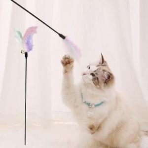놀이 고양이 캐주얼 장난감 무지개 필수템 깃털 낚시 (WFH5X73)