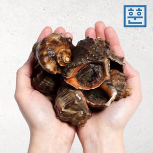 활 참소라 1kg 소소 20-30미