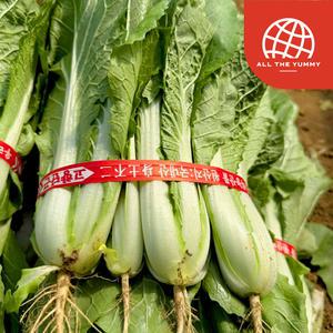 [올더야미] 산지직송 국내산 얼갈이 배추 4단 3.2kg 내외