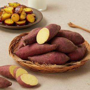 한입밤고구마 1.5kg (12~35입)