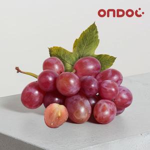 [온도씨]톡 터지는 크런치팝 포도 2kg