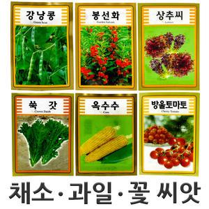 채소 과일 꽃 과학교재씨앗판매 자연관찰실험용씨앗