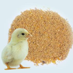 어린 병아리/오리/메추리 가루사료 1kg 가루모이 영양사료