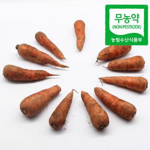 2025년 여름당근 친환경인증 무농약 흙당근 햇당근 중 5kg