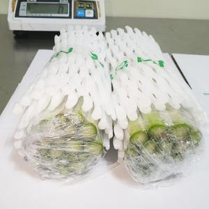 강원도 양구 생 아스파라거스 1kg (2025년/당일수확/국내산)